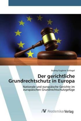 Der gerichtliche Grundrechtschutz in Europa - Audrey Eugénie Schlegel