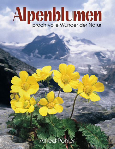 Alpenblumen - Alfred Pohler