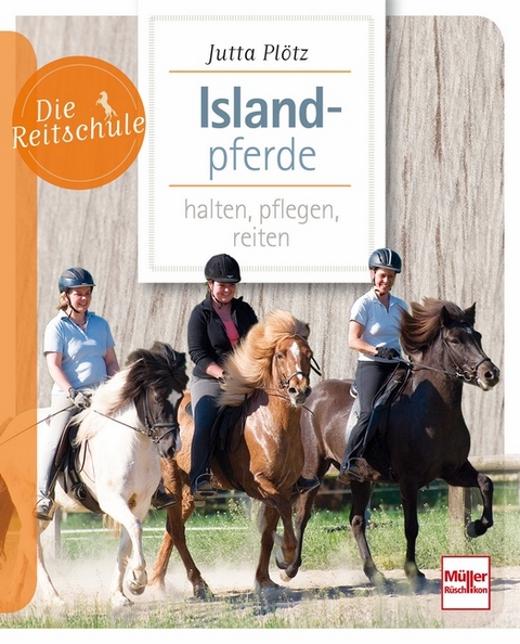 Islandpferde - Jutta Plötz