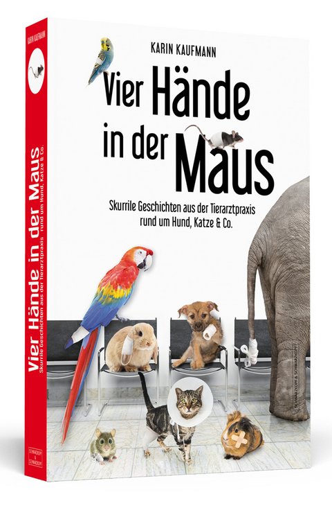 Vier Hände in der Maus - Karin Kaufmann