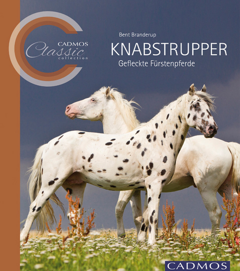 Knabstrupper - Bent Branderup