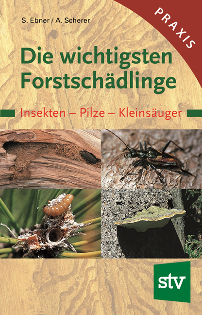 Die wichtigsten Forstschädlinge - Stefan Ebner, Andreas Scherer