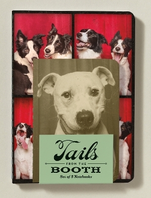 Tails from the Booth Notebooks (Set of 3) - Lynn Terry