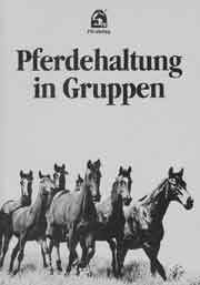 Pferdehaltung in Gruppen