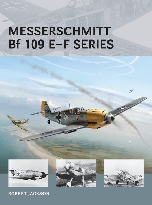 Messerschmitt Bf 109 E–F series - Robert Jackson