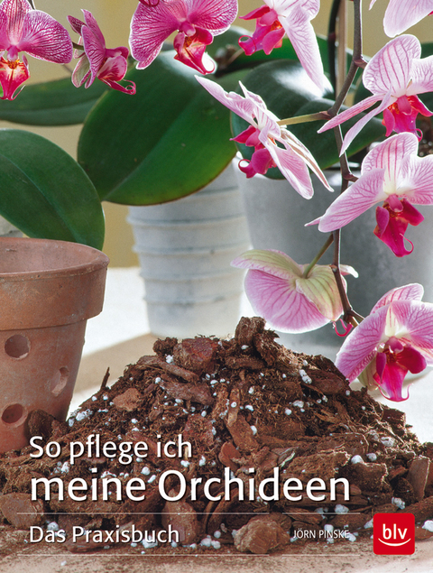 So pflege ich meine Orchideen - Jörn Pinske