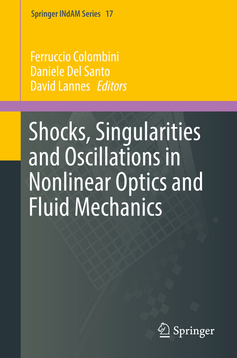 Shocks, Singularities and Oscillations in Nonlinear Optics and Fluid Mechanics - 