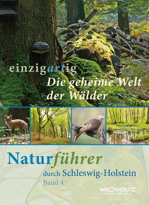 Die geheime Welt der Wälder - Götz Heeschen