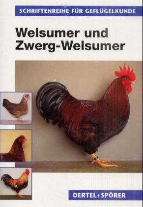 Welsumer und Zwerg-Welsumer - Friedhelm Harmeyer