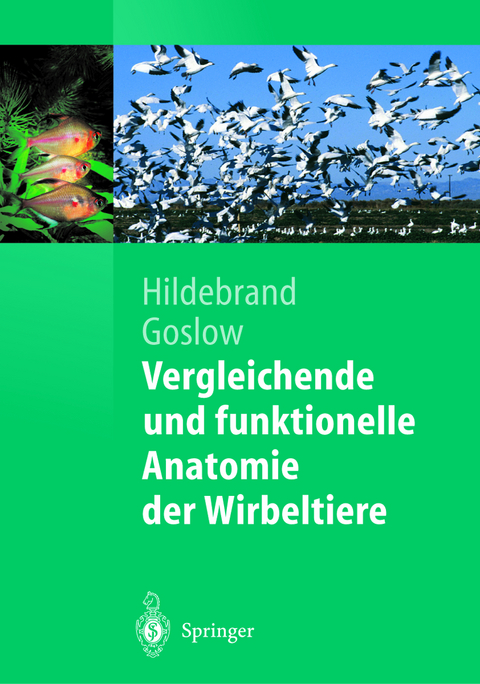 Vergleichende und funktionelle Anatomie der Wirbeltiere - Milton Hildebrand, George Goslow