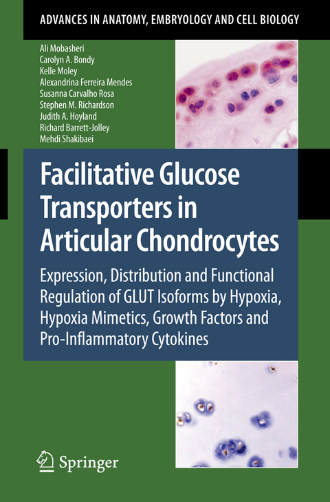 Facilitative Glucose Transporters in Articular Chondrocytes - Ali Mobasheri, Carolyn A. Bondy, Kelle Moley, Alexandrina Ferreira Mendes, Susana Carvalho Rosa, Stephen Richardson, Judith A Hoyland, Richard Barrett-Jolley, Mehdi Shakibaei