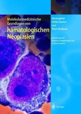 Numerical Flow Simulation von hämatologischen Neoplasien