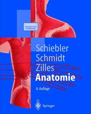 Anatomie - 