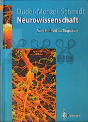 Neurowissenschaft - 