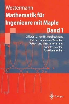 Mathematik für Ingenieure mit Maple - Thomas Westermann