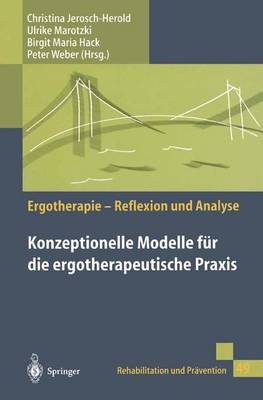 Ergotherapie, Reflexion und Analyse - 