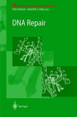 DNA Repair - 