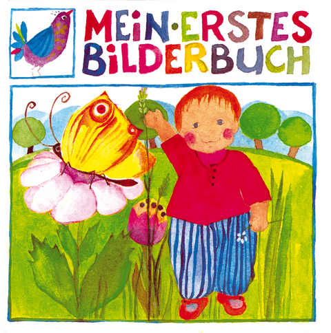 Mein erstes Bilderbuch - Eva-Maria Ott-Heidmann