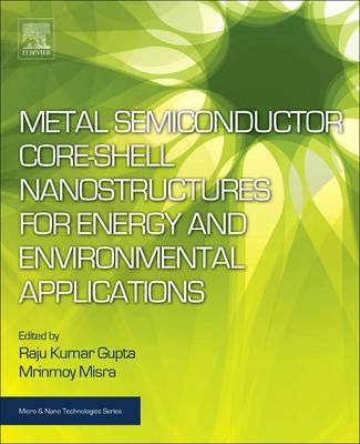 Metal Semiconductor Core-shell Nanostructures for Energy and Environmental Applications - 