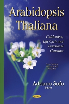 Arabidopsis Thaliana - 