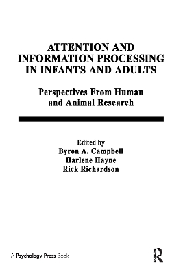 Attention and information Processing in infants and Adults - 