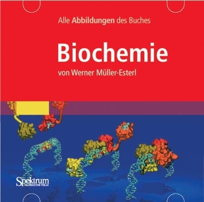 Bild-CD-ROM Biochemie