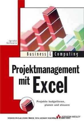 Projektmanagement mit Excel - Ignatz Schels