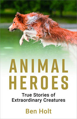 Animal Heroes -  Ben Holt