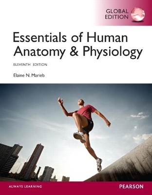 Essentials of Human Anatomy and Physiology, Global Edition -- Mastering A&P with Pearson eText - Elaine Marieb