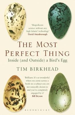 Most Perfect Thing -  Tim Birkhead