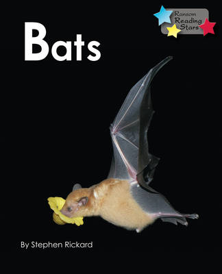 Bats -  Rickard Stephen