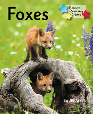 Foxes -  Atkins Jill