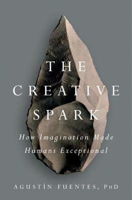 Creative Spark -  Agust n Fuentes