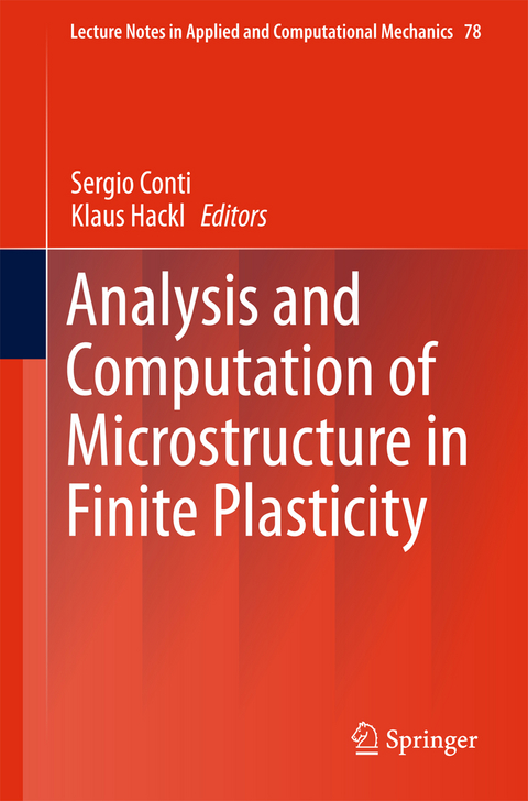 Analysis and Computation of Microstructure in Finite Plasticity - 