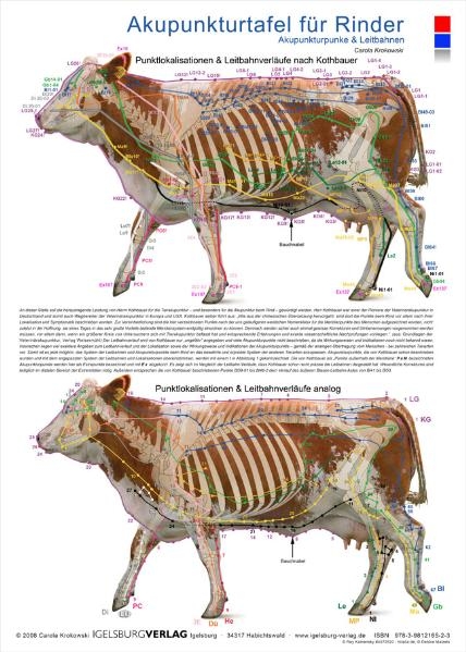 Akupunkturtafel für Rinder - Carola Krokowski