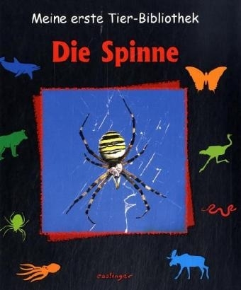 Die Spinne - Valérie Tracqui