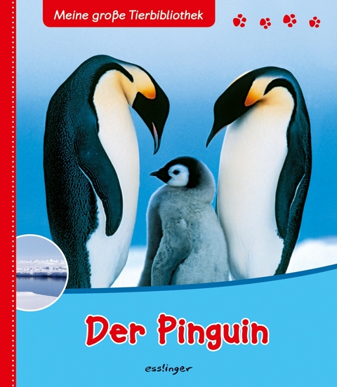 Meine große Tierbibliothek: Der Pinguin - Valérie Tracqui