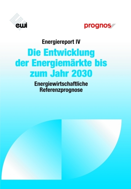 Energiereport IV