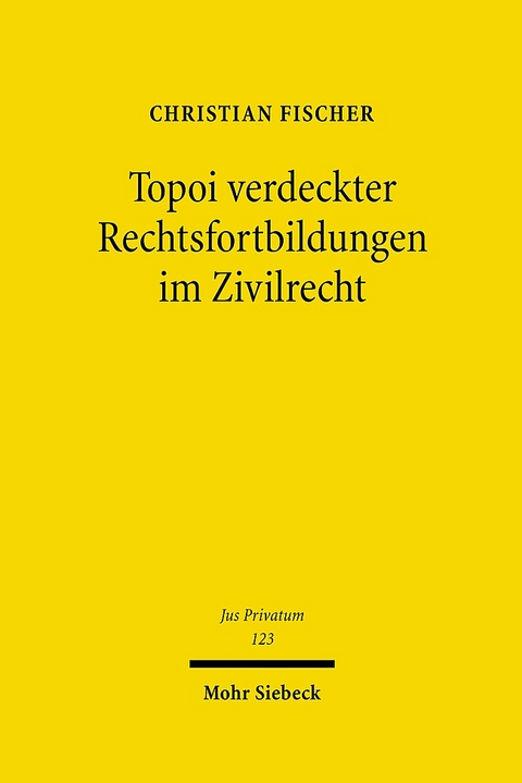 Topoi verdeckter Rechtsfortbildungen im Zivilrecht - Christian Fischer