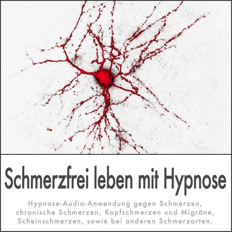 SCHMERZFREI LEBEN MIT HYPNOSE - Dieter Eisfeld