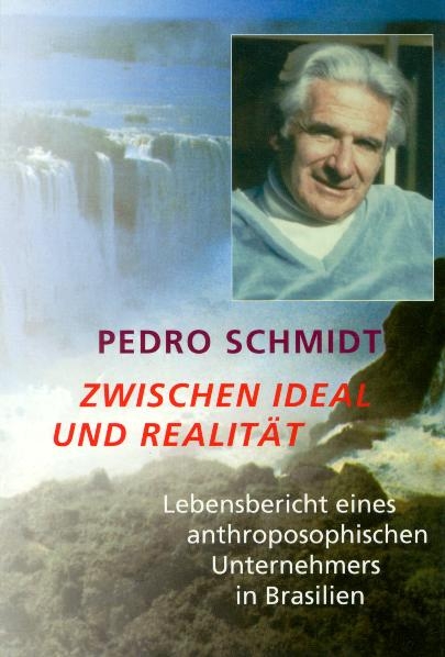 Zwischen Ideal und Realität - Pedro Schmidt