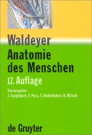 Waldeyer - Anatomie des Menschen - 