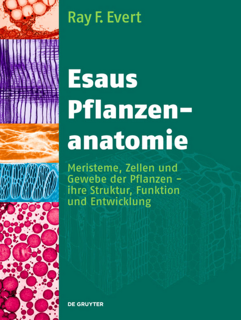 Esaus Pflanzenanatomie - Ray F. Evert