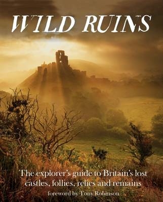 Wild Ruins - Dave Hamilton