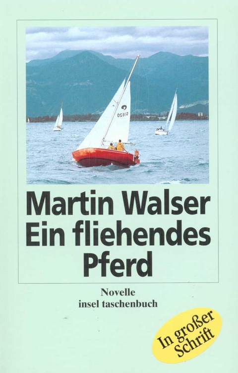 Ein fliehendes Pferd - Martin Walser