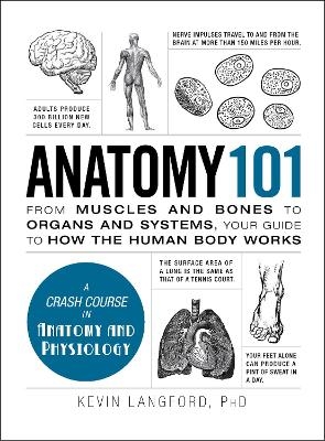 Anatomy 101 - Kevin Langford