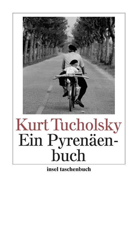 Ein Pyrenäenbuch - Kurt Tucholsky