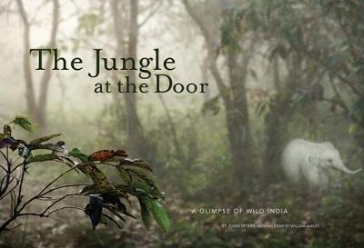 Jungle at the Door - William DeBuys, Joan Myers