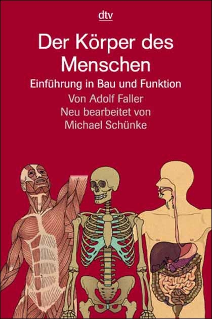 Der Körper des Menschen - Adolf Faller