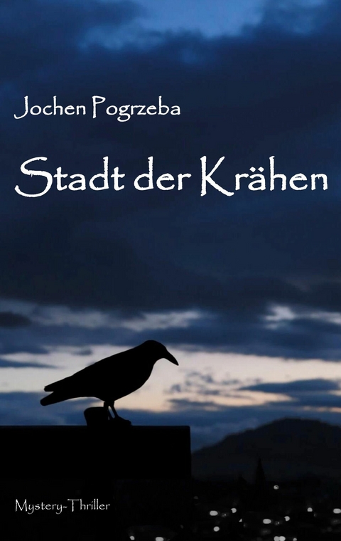 Stadt der Krähen - Jochen Pogrzeba